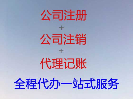 阜新公司个体户注册-财务代理记账